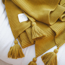 Load image into Gallery viewer, Textured Raised Stripes Rib Knit Throw Blanket with Tassels 50x60