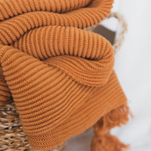 Load image into Gallery viewer, Textured Raised Stripes Rib Knit Throw Blanket with Tassels 50x60
